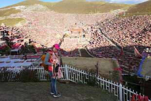 大型活动现场的热闹景象