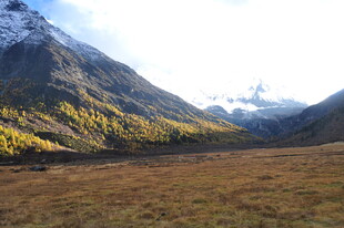 秋日山间开阔草原美景