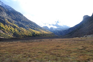 山谷草原与远处雪山风光