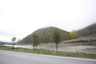 公路旁的山峦与树木景观