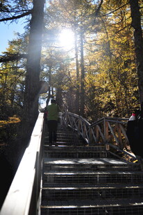 秋日登山步道上的阳光美景