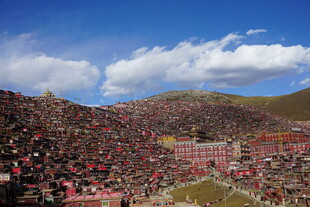 大型户外集会现场人群壮观