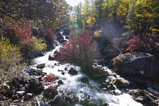 秋日山间潺潺溪流美景