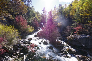 山间溪流秋色美景