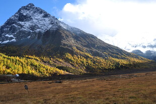 秋日雪山下的广袤原野