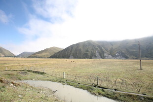 山间小径 广袤原野风光