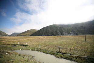 山间草地与蜿蜒小径