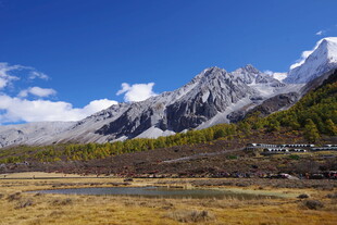 雪山下的广袤原野风光