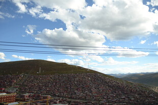 山坡上的密集建筑景观