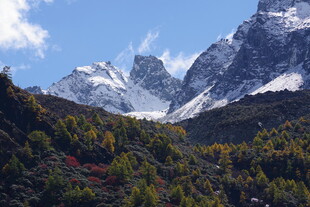 壮丽雪山下的多彩山林
