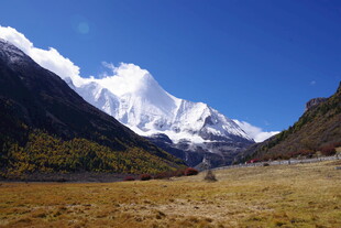 雪山下的广袤原野风光