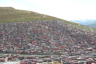 景区停车场车辆密集景象