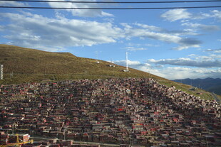 山坡上的密集人群景观