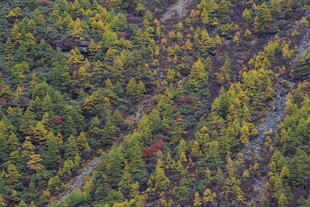 秋日山林俯瞰美景