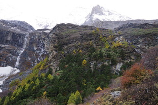 壮丽山景与多彩植被