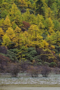 秋日山林湖畔美丽景致