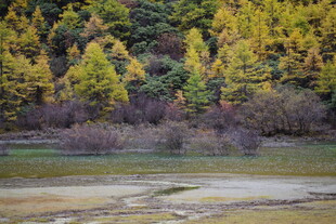 秋日山林旁的静谧水域