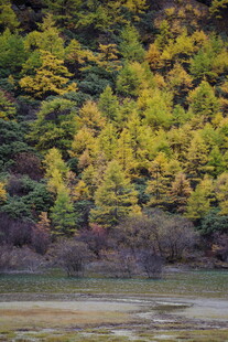 秋日山林湖畔美景