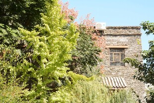 古朴建筑旁的葱郁绿植