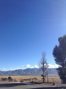 广阔原野蓝天孤树风景