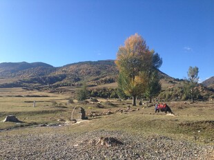 秋日山野露营风景