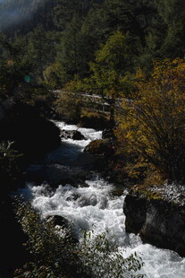 山间湍急溪流美景