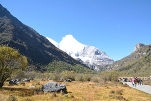 雪山下的露营美景
