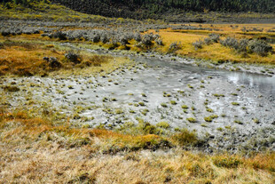 荒野中的灰白地貌景观