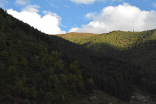 山间美景 绿意盎然的山谷
