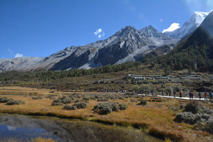 高山草甸旁的秀丽山水
