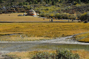 秋日草原河畔的静谧风光