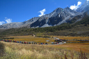 川西壮美山地草原风光