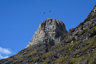 巍峨山峰与空中飞鸟