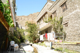 古朴庭院中的悠闲景致