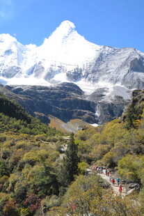 雪山下的翠绿山谷风光