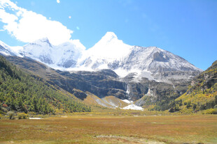 雪山下的广袤原野
