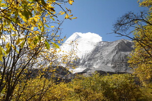 秋日山林间的巍峨雪山