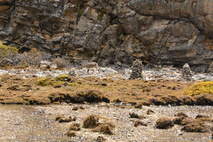 岩石旁的荒芜地貌景观