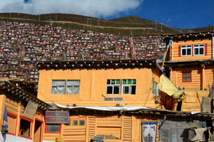 藏区壮观建筑与人群景象