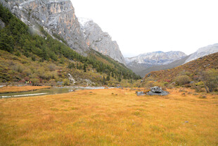 山间秋色中的开阔草地