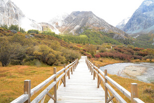 山间木栈道 赏秀丽风光