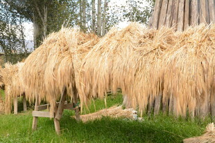 户外干草堆场景