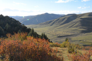 秋日山间绚烂景致