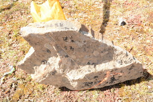 野外奇特形状的矿石