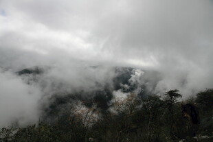 云雾缭绕的山间景致