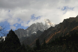 巍峨雪山与葱郁山林景观