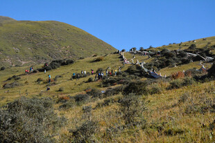山坡上的自然景致