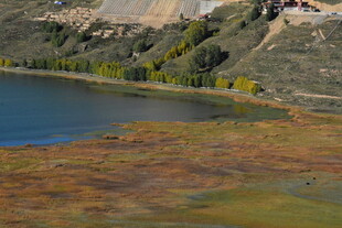 湖畔多彩湿地风光