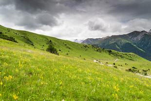高山草甸间的壮丽自然景观