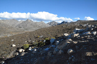 高山荒野间的零星石块
